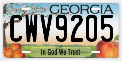 GA license plate CWV9205