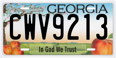 GA license plate CWV9213