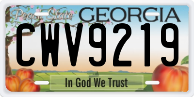 GA license plate CWV9219