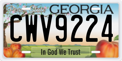 GA license plate CWV9224