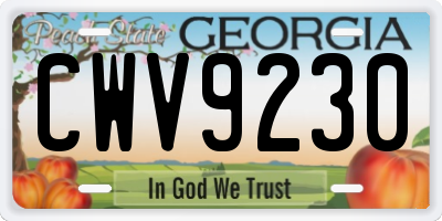 GA license plate CWV9230