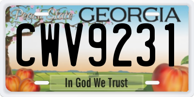GA license plate CWV9231