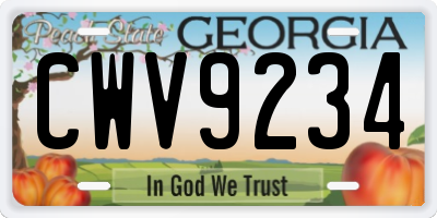GA license plate CWV9234