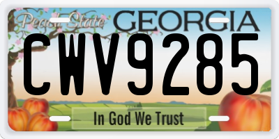 GA license plate CWV9285