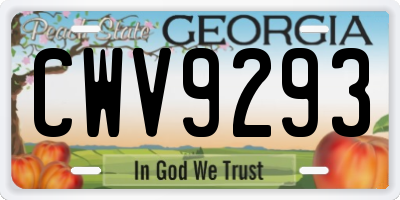 GA license plate CWV9293