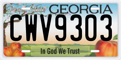 GA license plate CWV9303