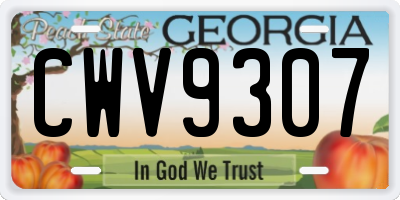 GA license plate CWV9307