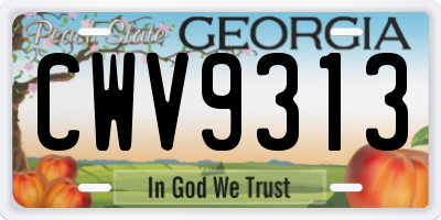 GA license plate CWV9313