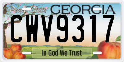 GA license plate CWV9317