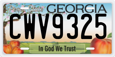 GA license plate CWV9325
