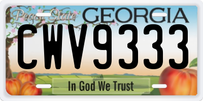 GA license plate CWV9333