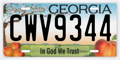 GA license plate CWV9344