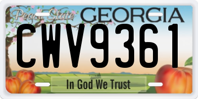 GA license plate CWV9361