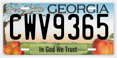 GA license plate CWV9365