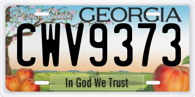 GA license plate CWV9373