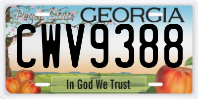 GA license plate CWV9388