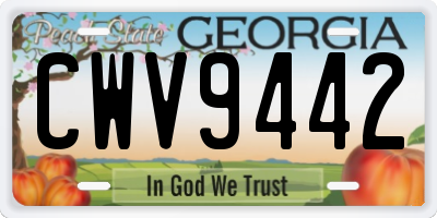 GA license plate CWV9442