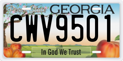 GA license plate CWV9501