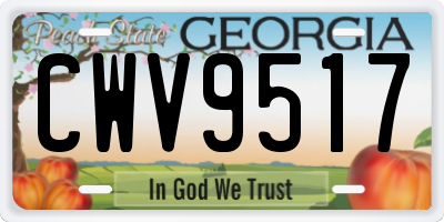 GA license plate CWV9517
