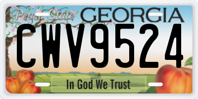 GA license plate CWV9524