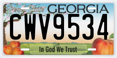 GA license plate CWV9534