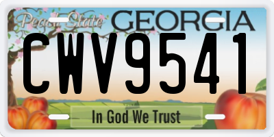 GA license plate CWV9541