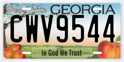 GA license plate CWV9544