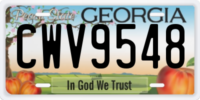 GA license plate CWV9548