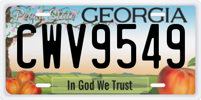 GA license plate CWV9549