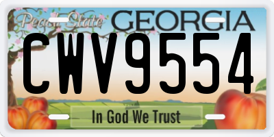 GA license plate CWV9554