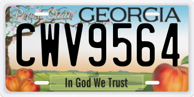 GA license plate CWV9564