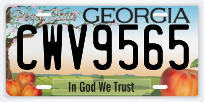 GA license plate CWV9565