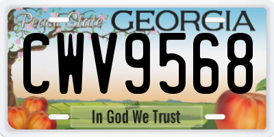 GA license plate CWV9568