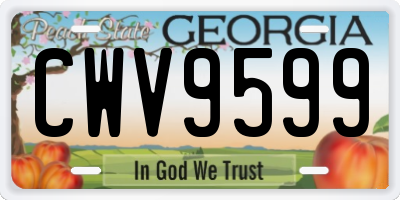 GA license plate CWV9599