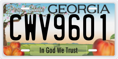 GA license plate CWV9601