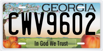 GA license plate CWV9602