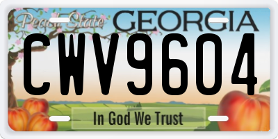 GA license plate CWV9604
