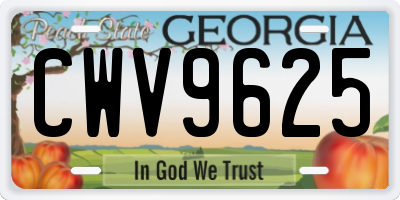 GA license plate CWV9625