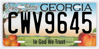 GA license plate CWV9645