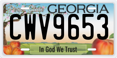 GA license plate CWV9653