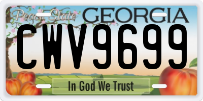 GA license plate CWV9699