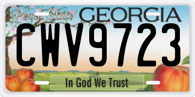 GA license plate CWV9723