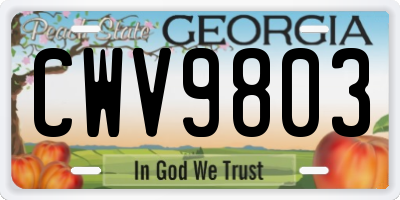 GA license plate CWV9803