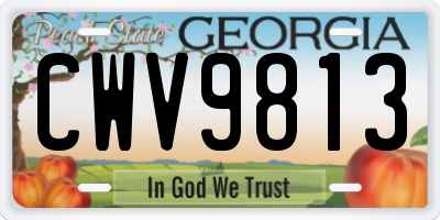 GA license plate CWV9813