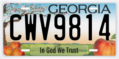 GA license plate CWV9814