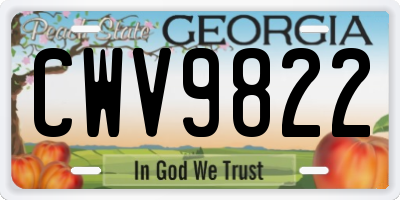 GA license plate CWV9822