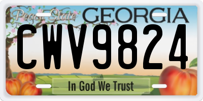 GA license plate CWV9824