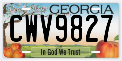 GA license plate CWV9827