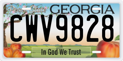GA license plate CWV9828