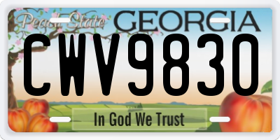 GA license plate CWV9830